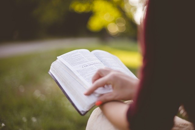 person reading a book outside